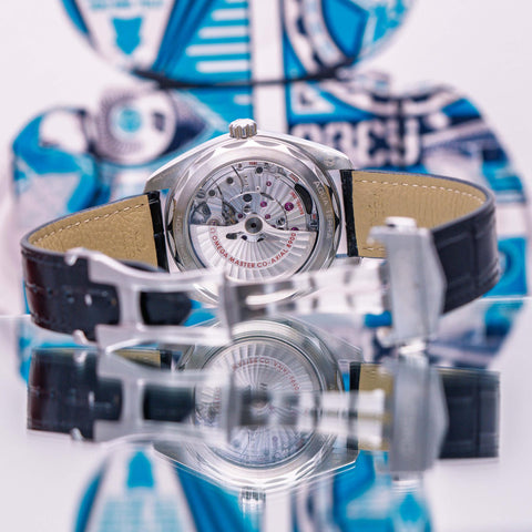 Omega Seamaster Aqua Terra 150m Co-axial Master Chronometer 220.13.41.21.01.001