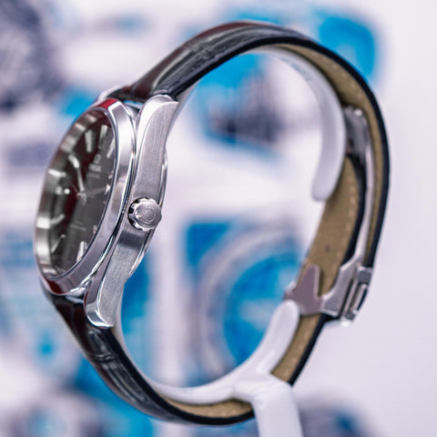 Omega Seamaster Aqua Terra 150m Co-axial Master Chronometer 220.13.41.21.01.001