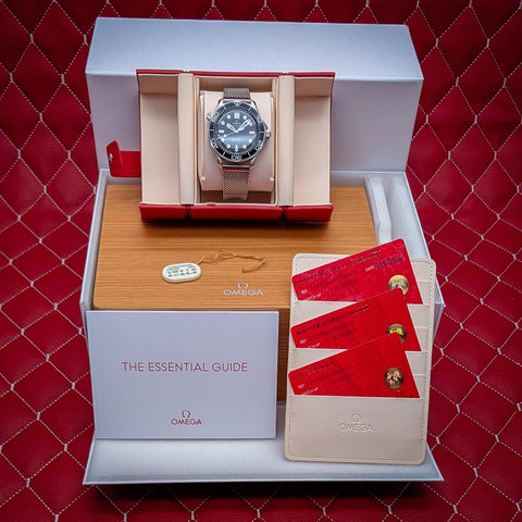 Omega Seamaster Diver 300M Mesh Bracelet 210.30.42.20.01.010