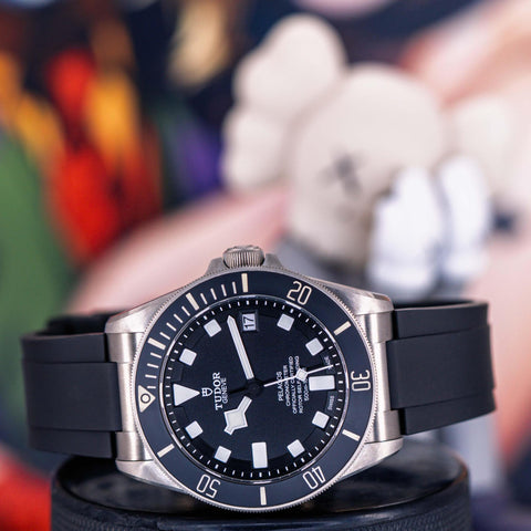 Tudor Pelagos M25600TN-0001